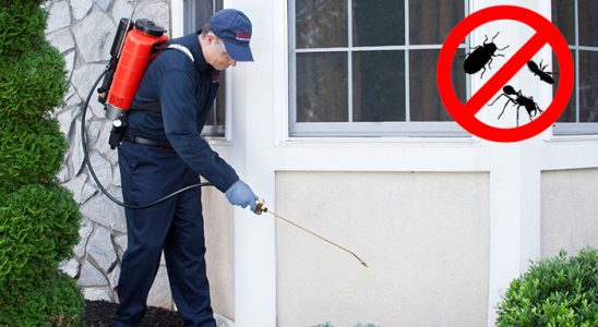 Kiğı Uçan Haşere İlaçlama böcek ilaçlama ve haşere kontrolü — ilaclama-tr.com